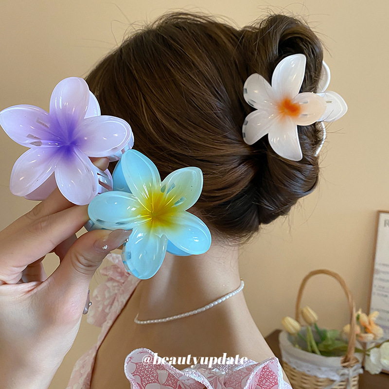Crystal Flower Acrylic Hair Cl - Travel Accessories Hong Kong ulasan dan harga