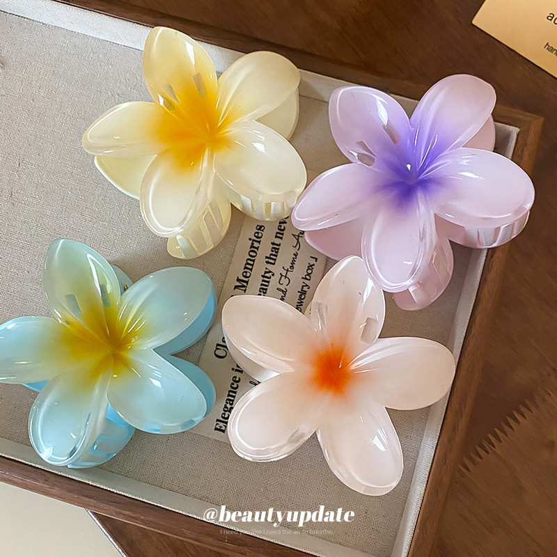 Crystal Flower Acrylic Hair Cl - Travel Accessories Hong Kong ulasan dan harga