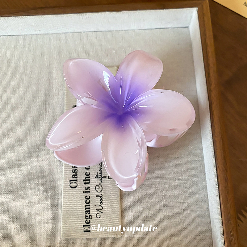 Crystal Flower Acrylic Hair Cl - Travel Accessories Hong Kong ulasan dan harga
